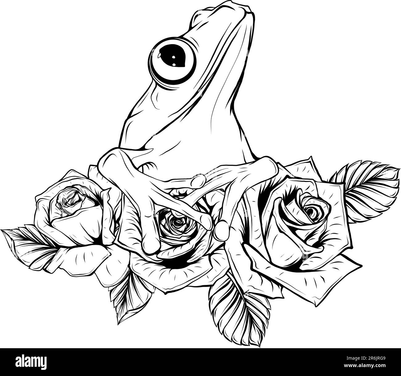 frog with leaves and roses black and white sketch vector illustration Stock Vector