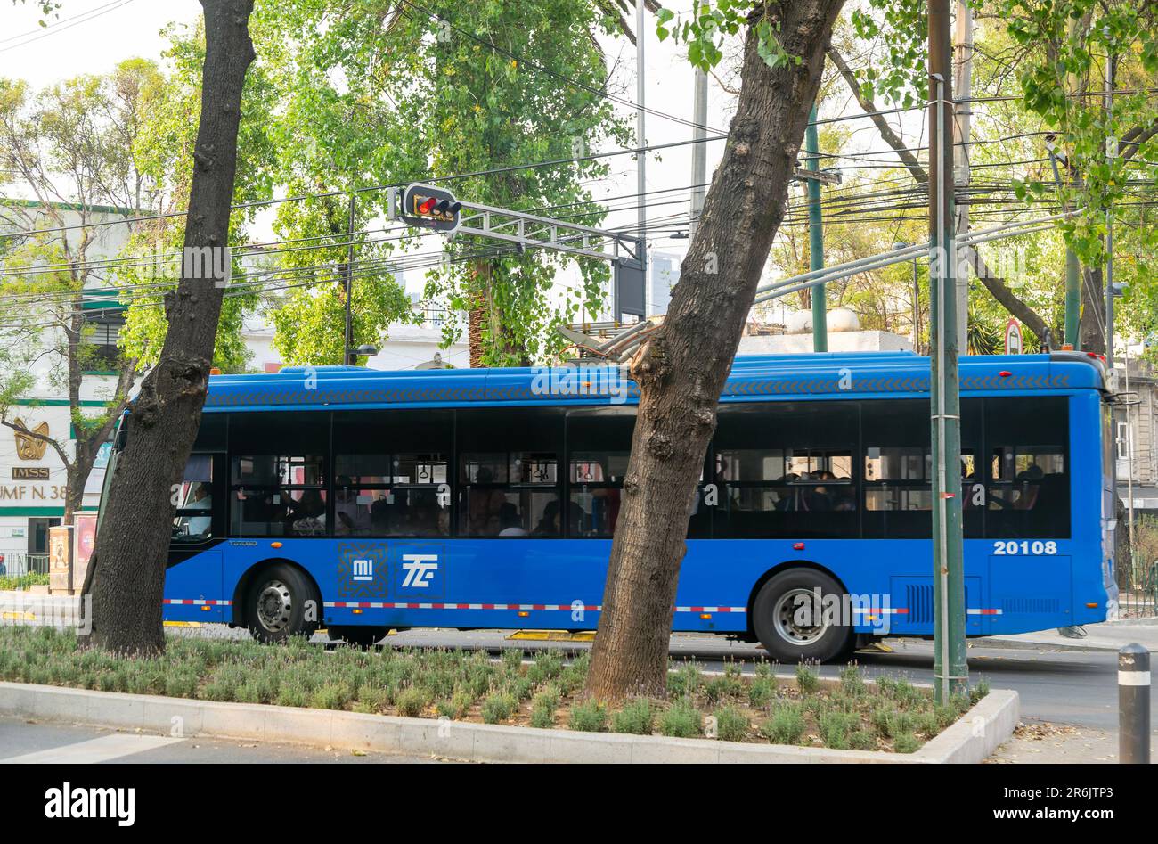 Electric powered modern trolley bus public transport rapid transit