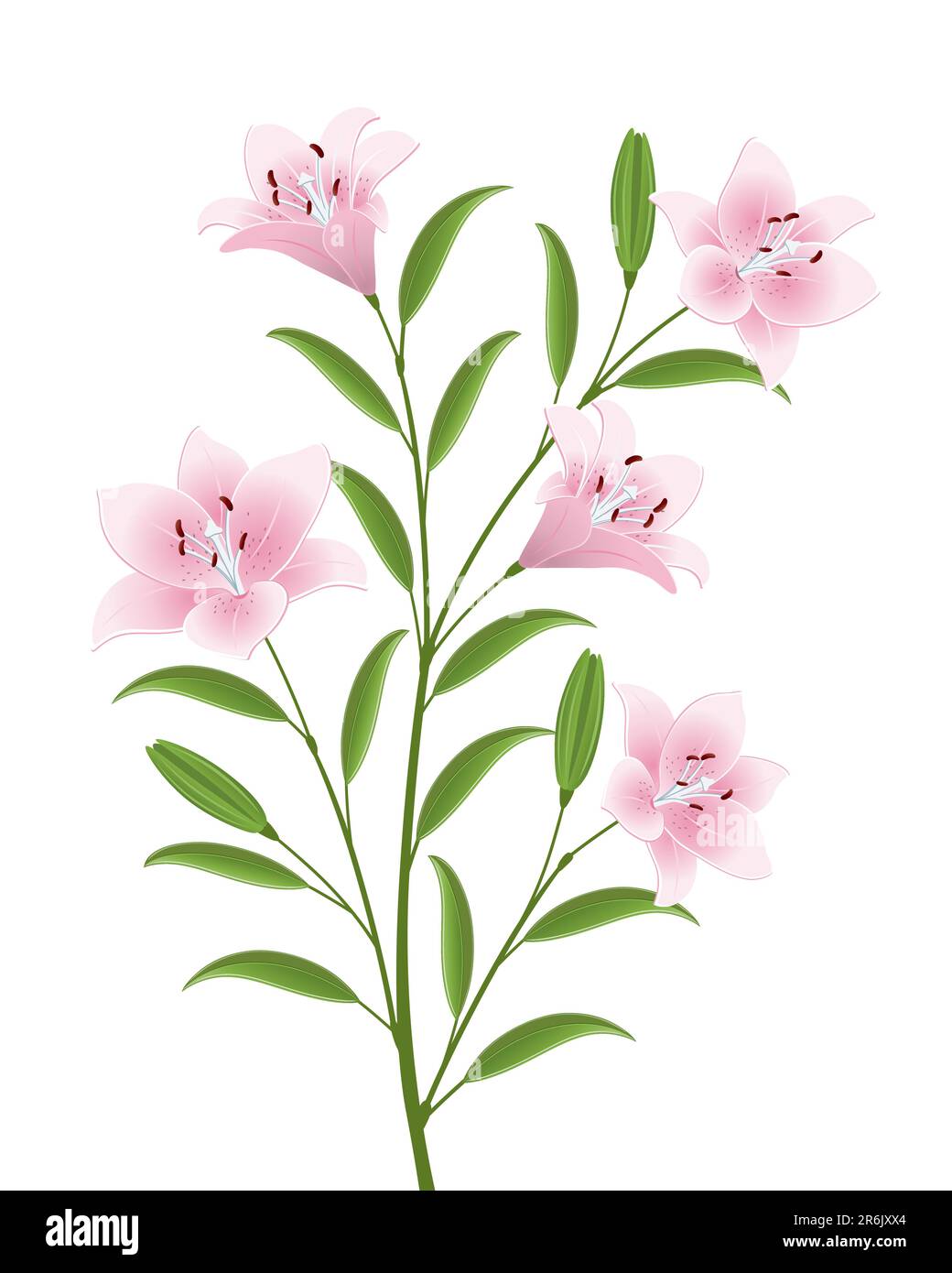 Isolated image of a flowers. Vector illustration. Stock Vector
