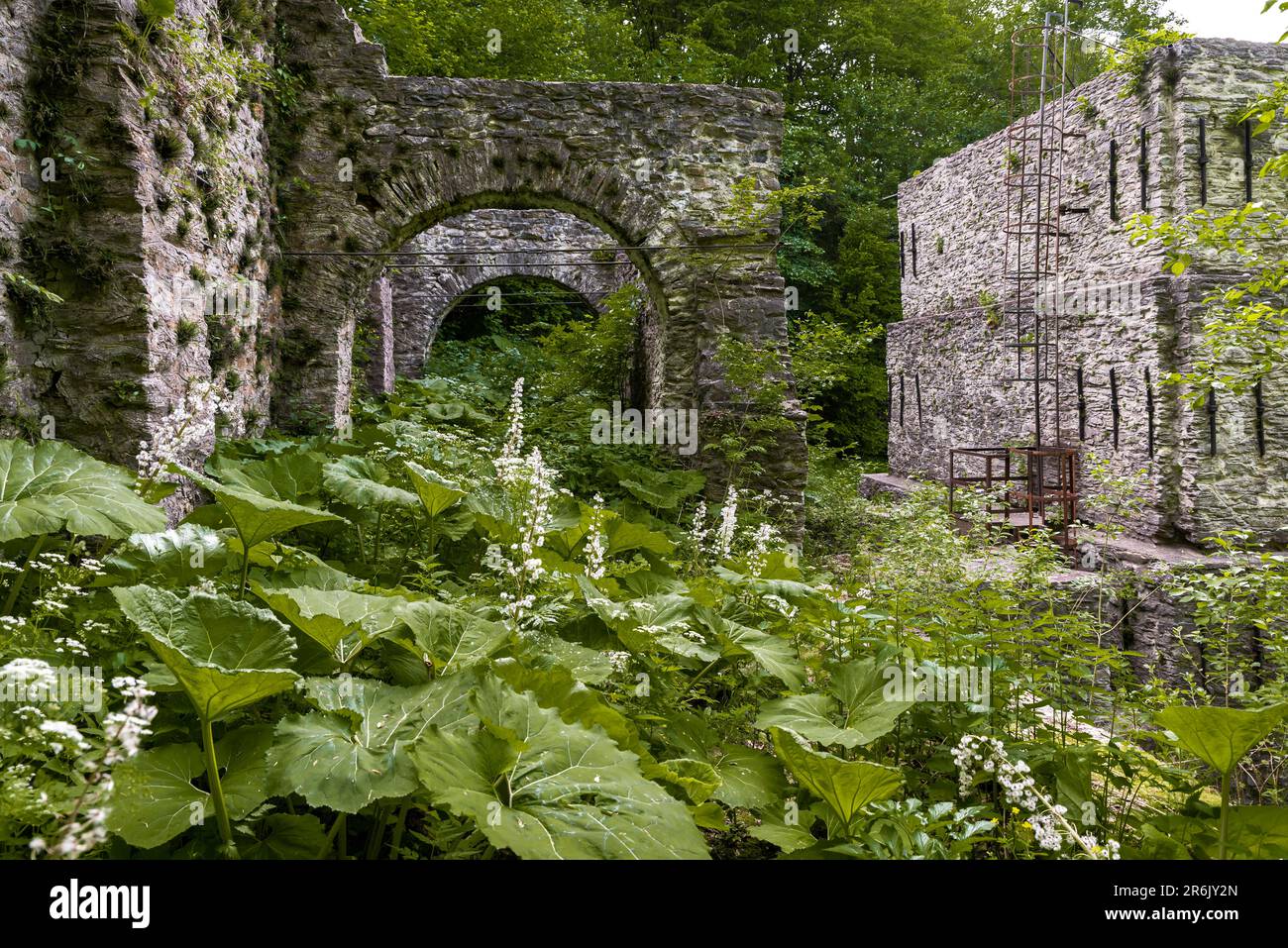 Ancient smelter ruins in Bukk mountains near by the famous Lillafured castle. This place is a part of the Hungarian indrustial heritage. Amazing stone Stock Photo