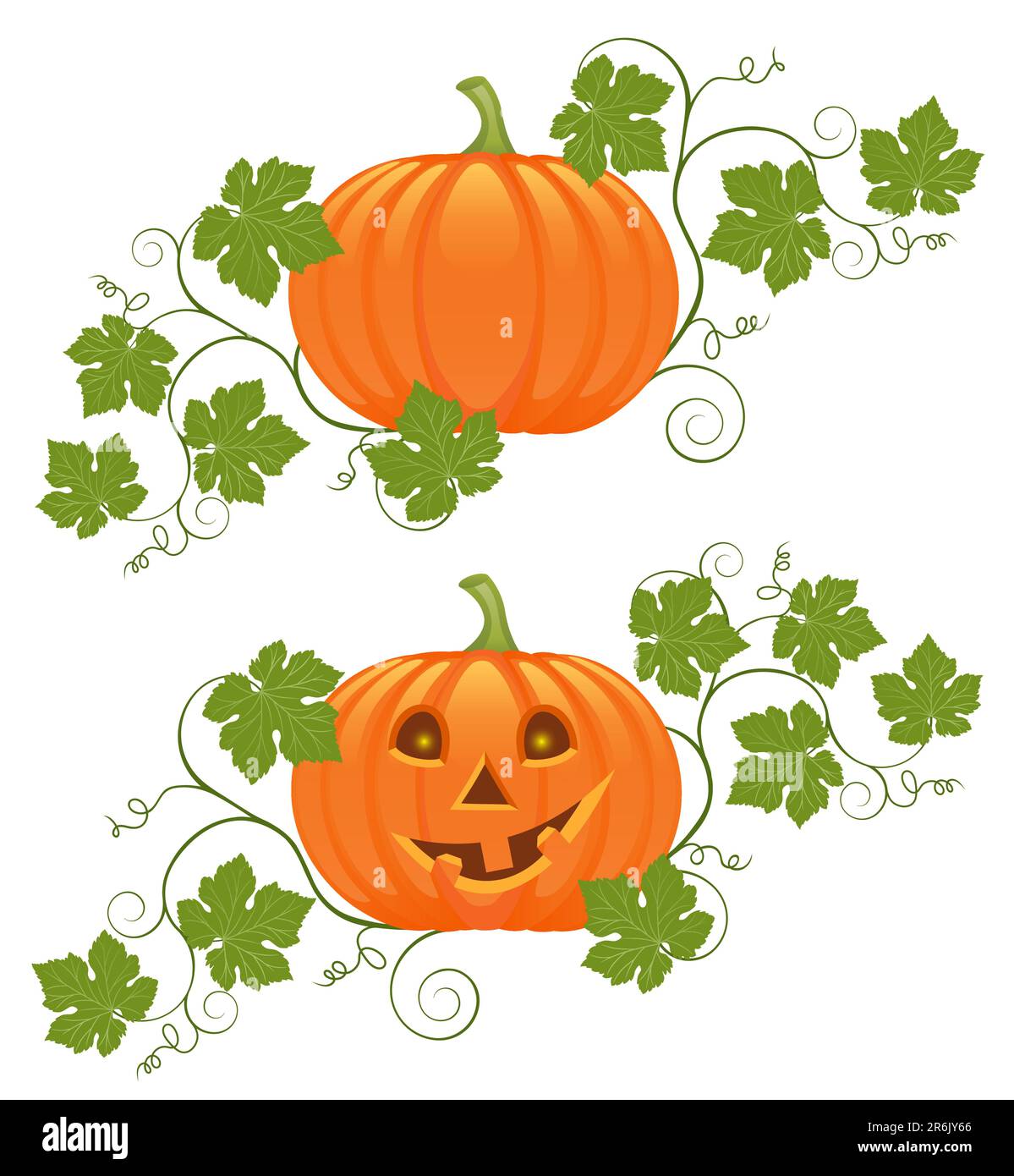 Pumpkin plant illustration Stock Vector Images - Alamy