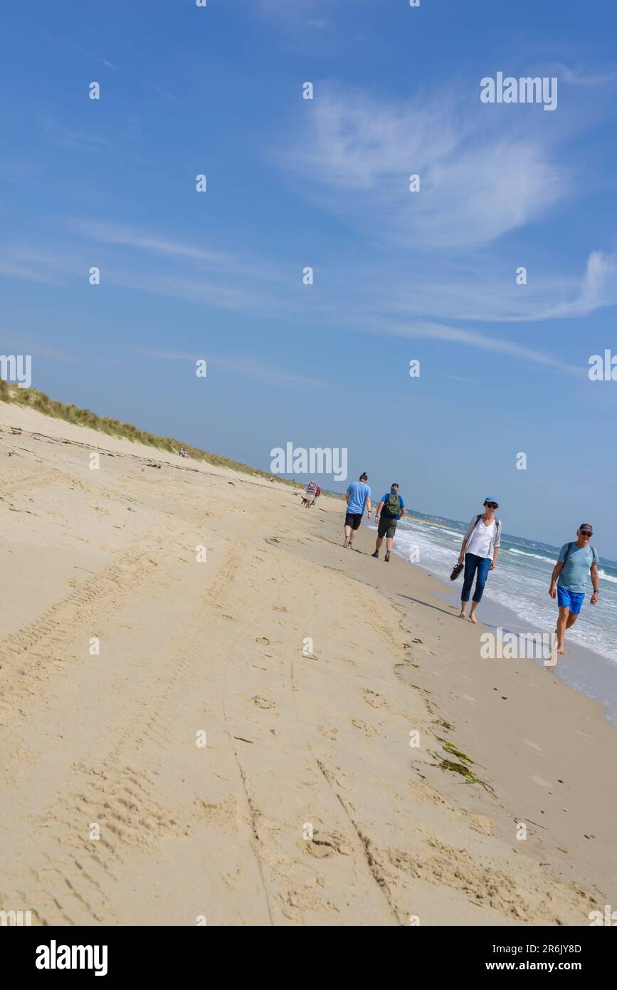 People walking along the shoreline in sunshine under blue sky in summer, Studland Beach, Dorset, UK Stock Photo