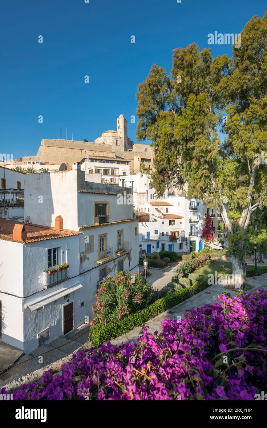 SAN PEDRO PARK OLD TOWN IBIZA BALEARIC ISLANDS SPAIN Stock Photo