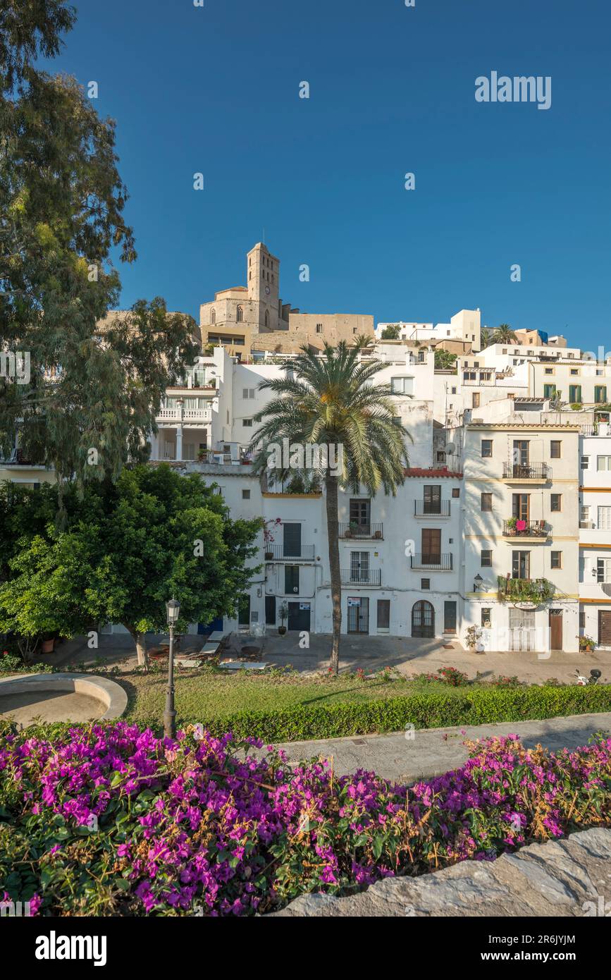 SAN PEDRO PARK OLD TOWN IBIZA BALEARIC ISLANDS SPAIN Stock Photo