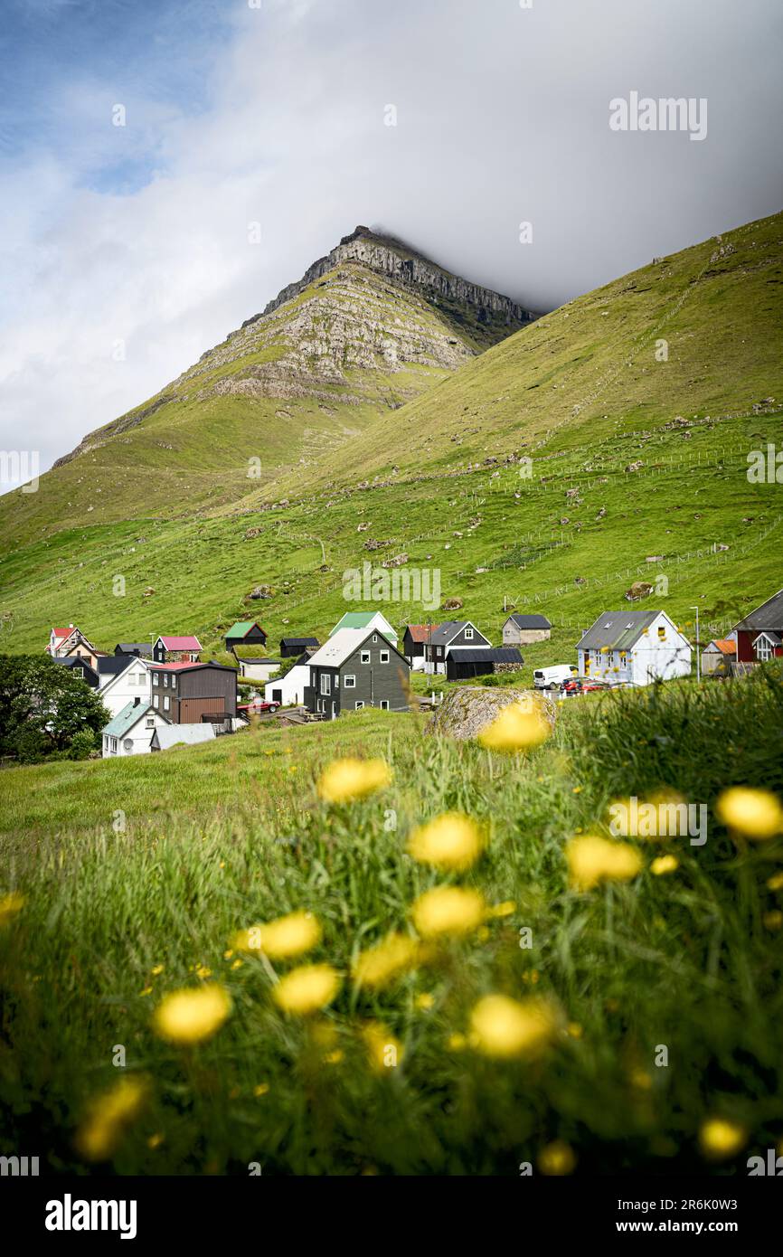 Traditional houses in the small village of Kunoy in the flowering meadows, Kunoy Island, Faroe Islands, Denmark, Europe Stock Photo