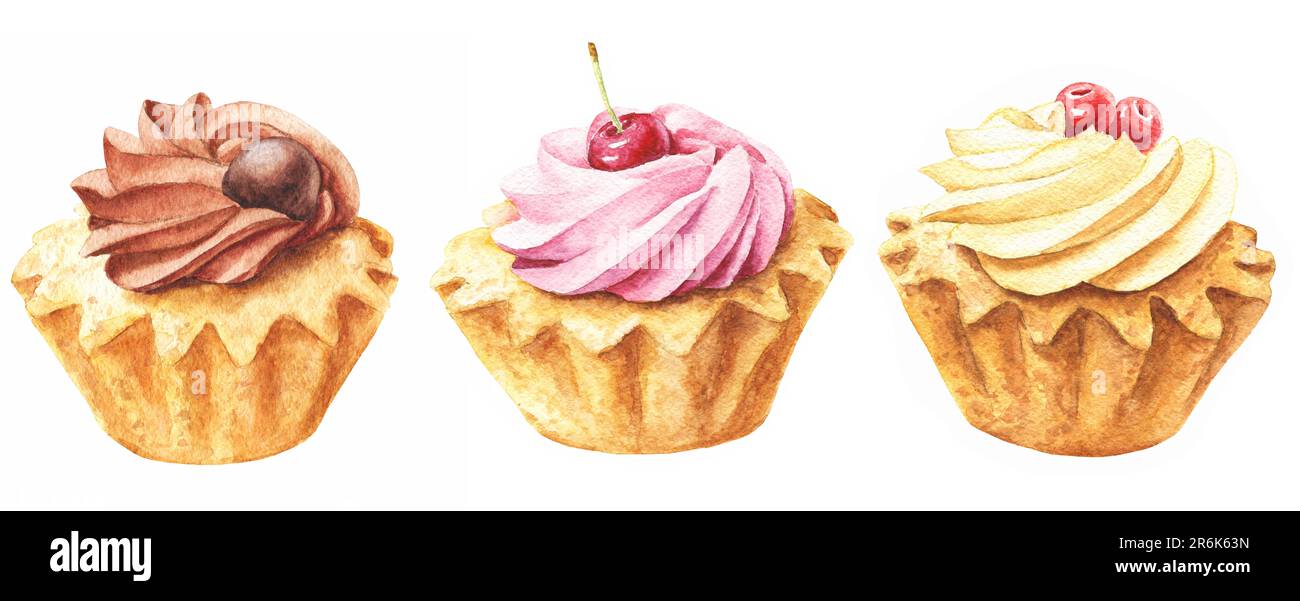 Watercolor vanilla, cherry and chocolate cupcakes with pink frosting ...
