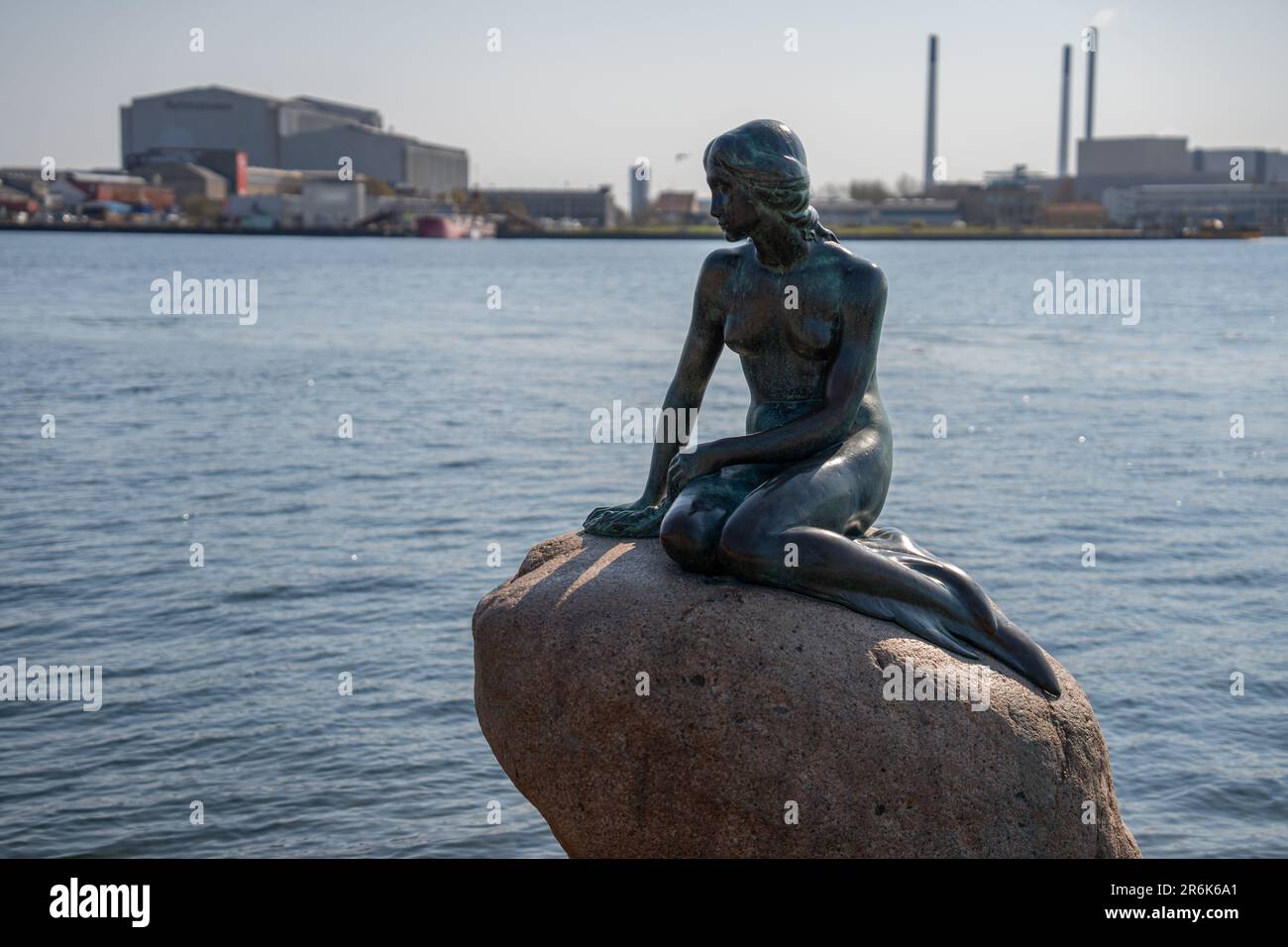 The Little Mermaid Statue looking over the harbor in Copenhagen Stock ...