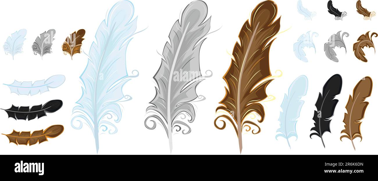 stylized feathers isolated on white Stock Vector