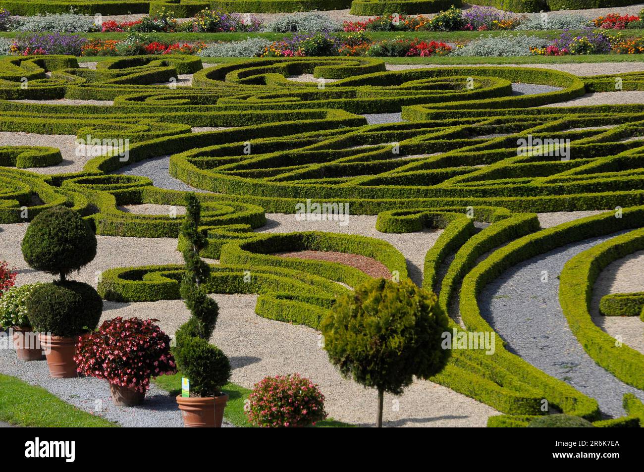Box Headges Tree Flowering Baroque Ludwigsburg, topiary, box hedges, tub plants, common ...