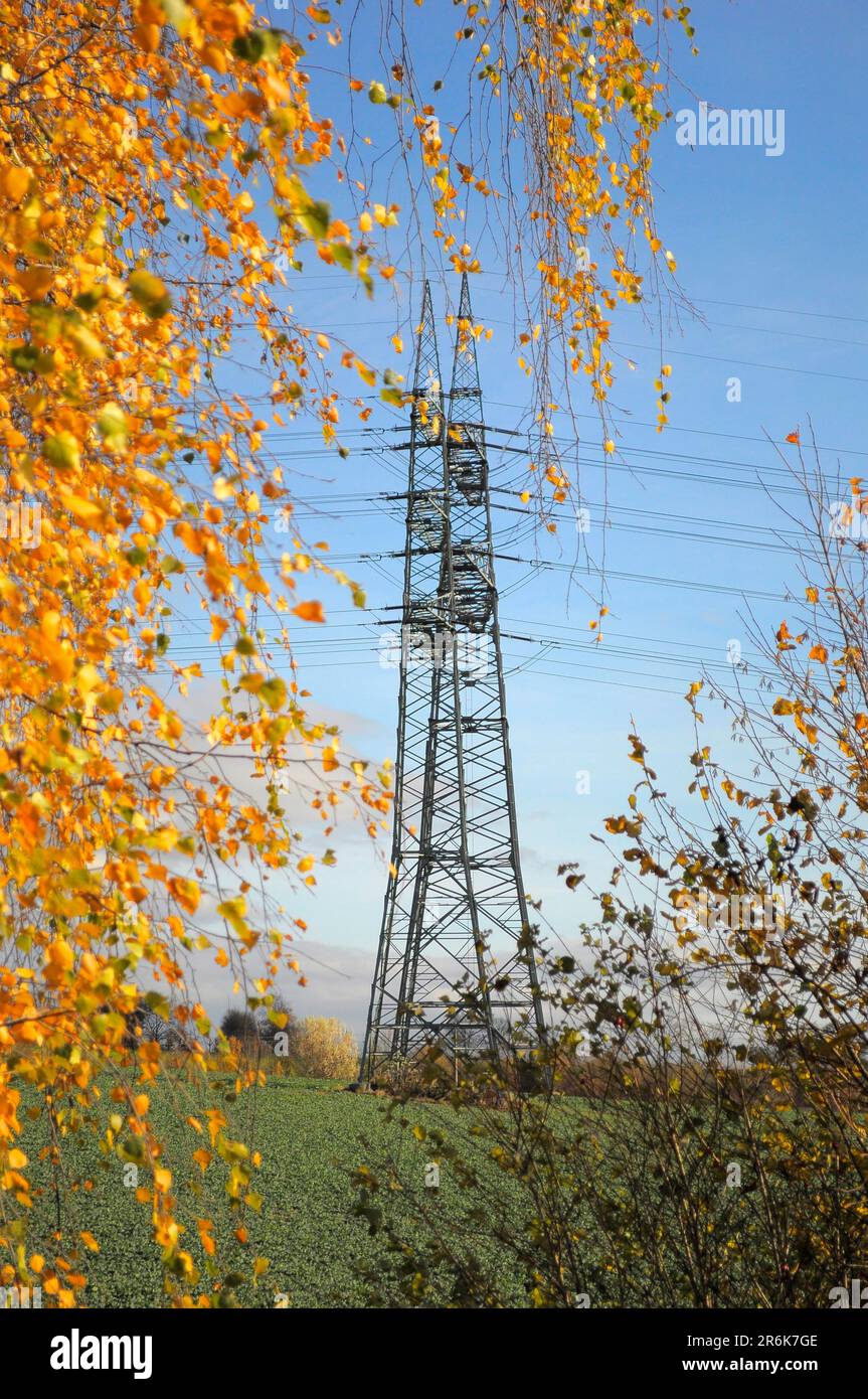 Electric overhead power pole in the field, power poles in the field