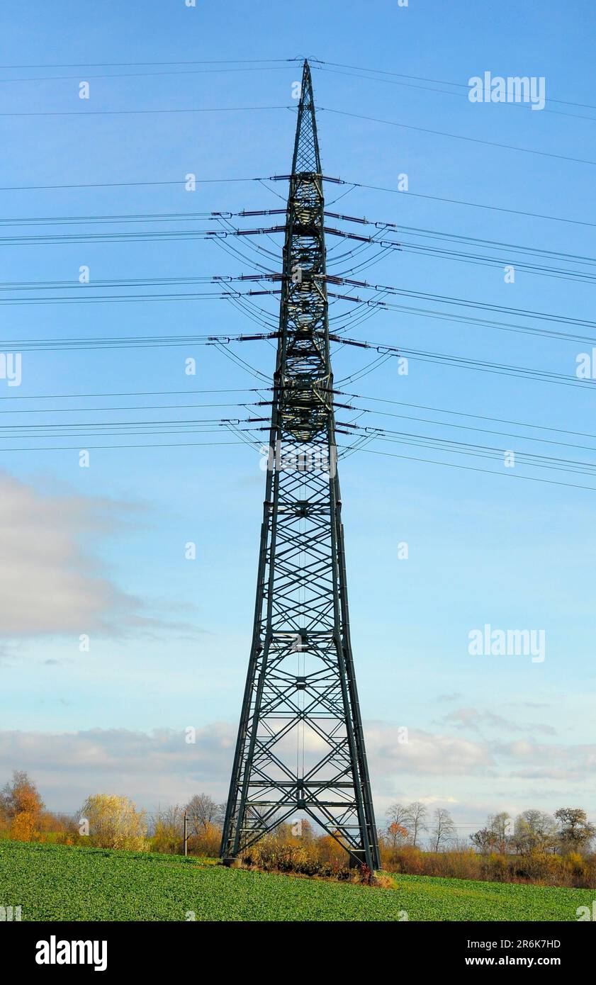 Electric overhead power pole in the field, power poles in the field