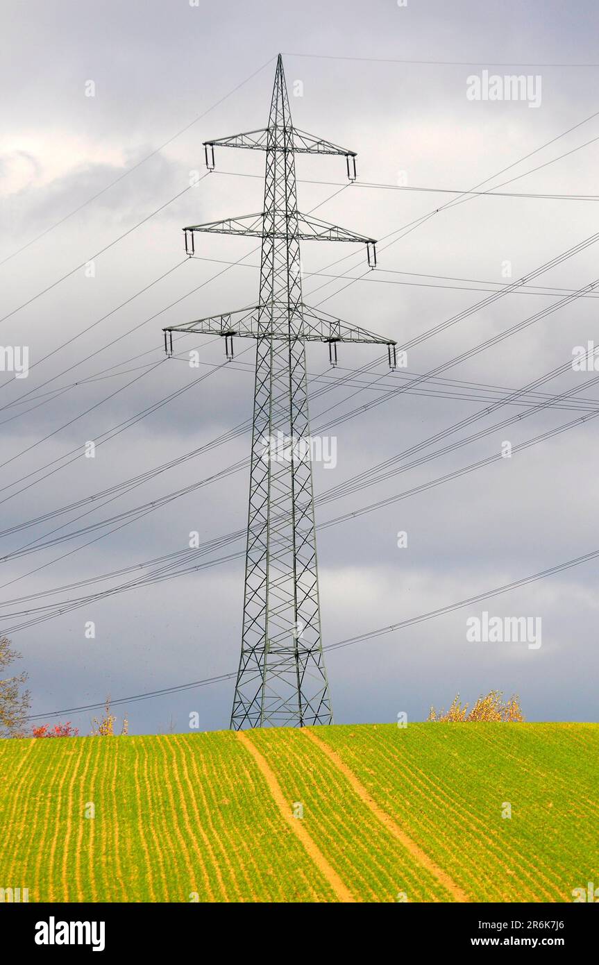 Electric overhead power pole in the field, power poles in the field