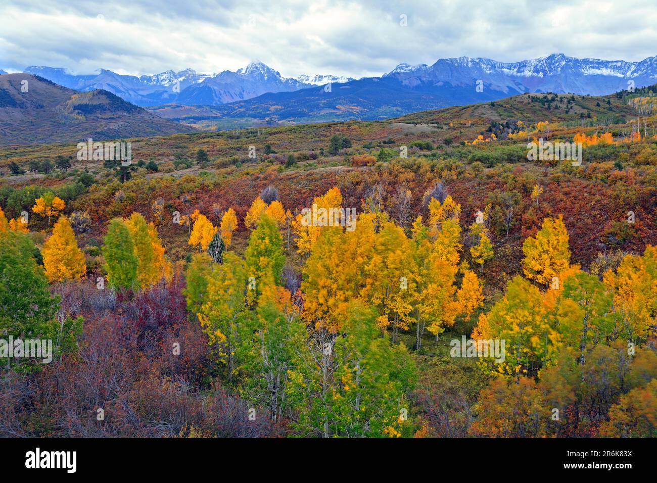 View from Dallas Divide to Sneffles Range, Ridgway, Colorado, USA Stock Photo