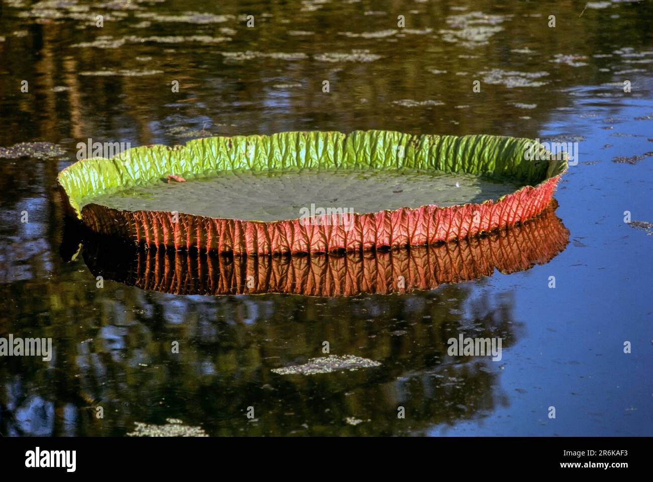 Botanical Garden Kolkata Main Gate