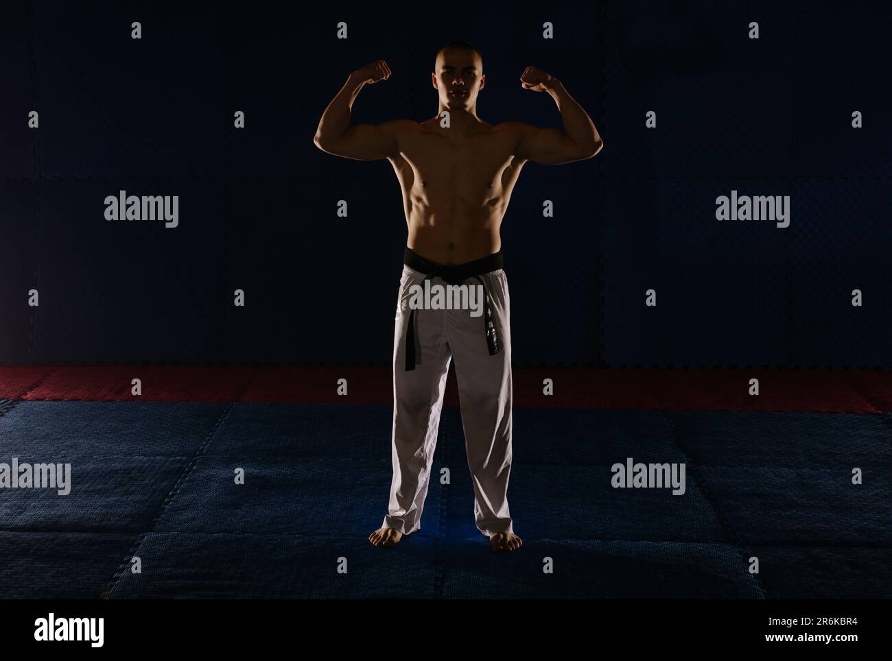 Silhouette of a good looking karatist posing with his muscles while