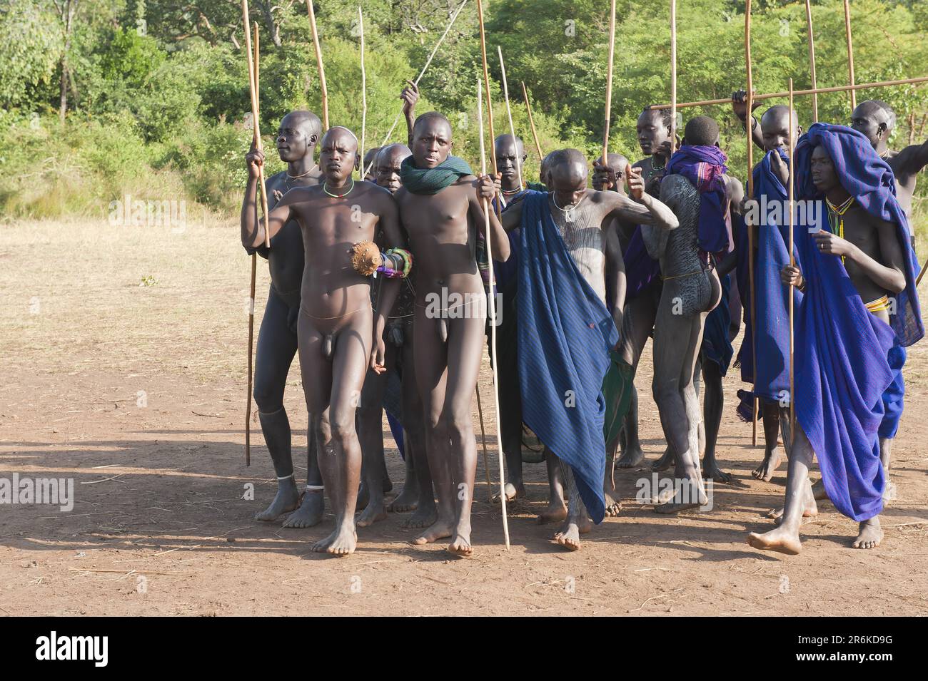 Donga stick fighting ceremony, Surma tribe, Tulgit, Omo Valley, Ethiopia/ Surma Stock Photo