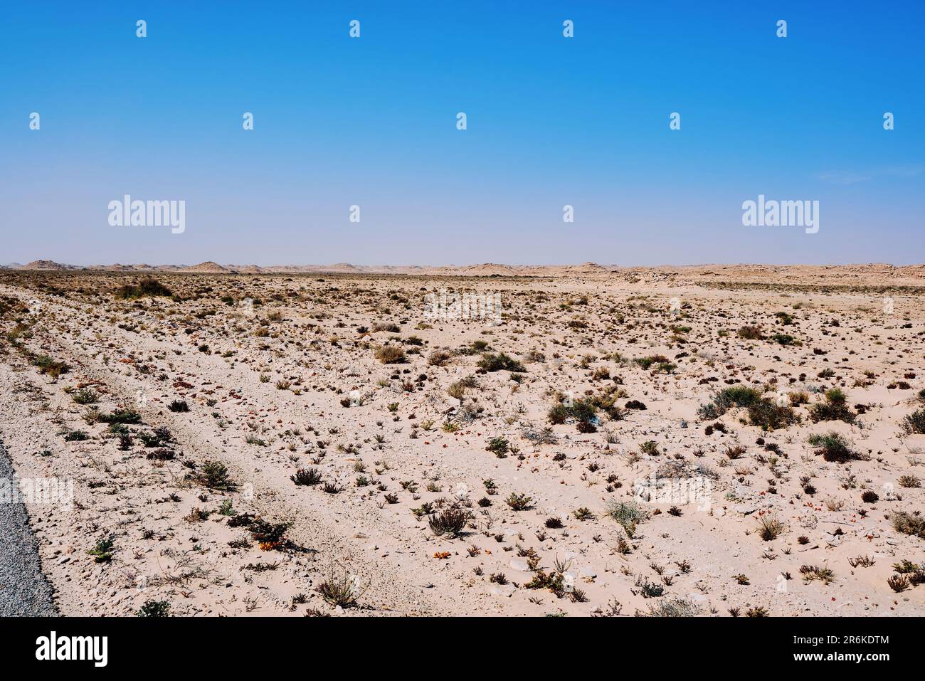 landscape in the desert with a blue sky and rocks formation Stock Photo ...