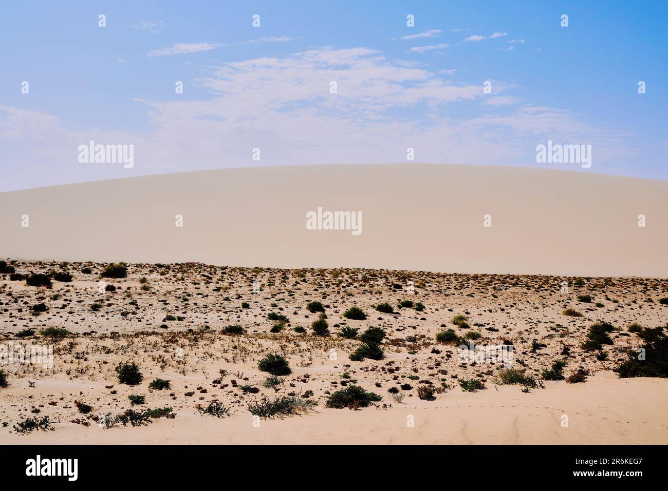 Dune formation at the desert with a blue sky Stock Photo