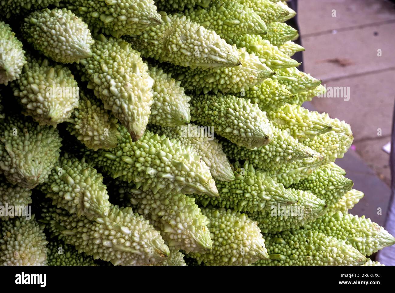Bitter Gourd (Momordica charantia Linn) Carila fruit vegetables, Tamil