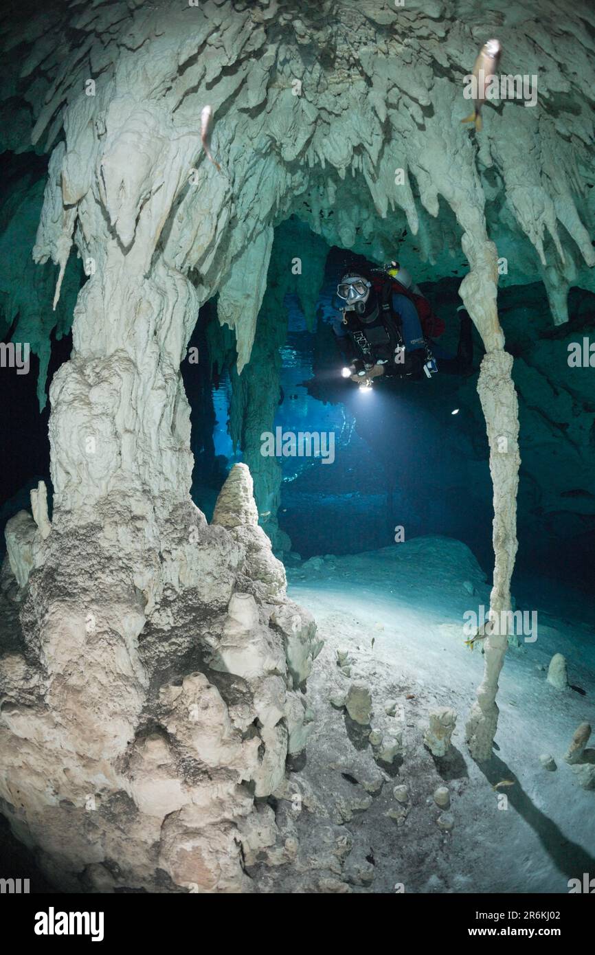 Diver in underwater cave Gran Cenote, Yucatan Peninsula, underwater