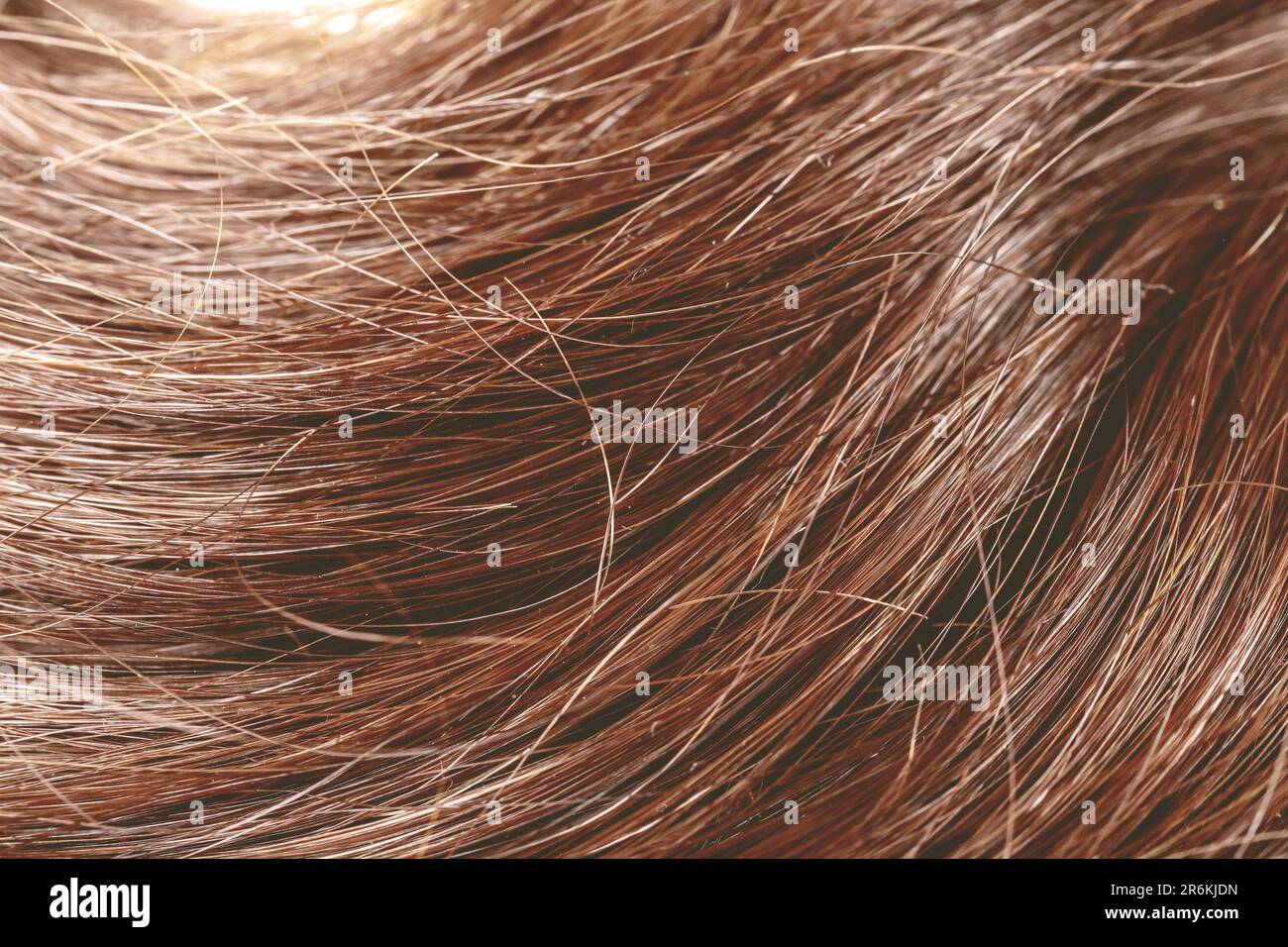 35 Flattering Mid-Length Brown Haircuts To Try This Year, image size:1300x956