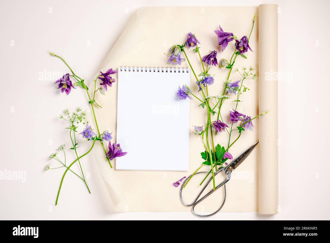 Aquilegia flowers, notebook blank mockup, top view, copy space. Summer mockup scene. Stock Photo