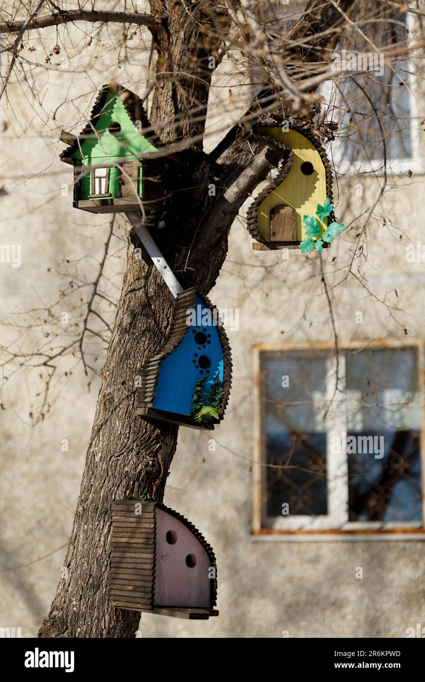 bright multi-colored house for birds hanging on a tree Stock Photo