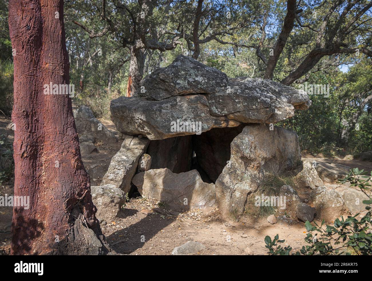 Cova de l'Alarb dolmen in Argeles-sur-mer, France Stock Photo