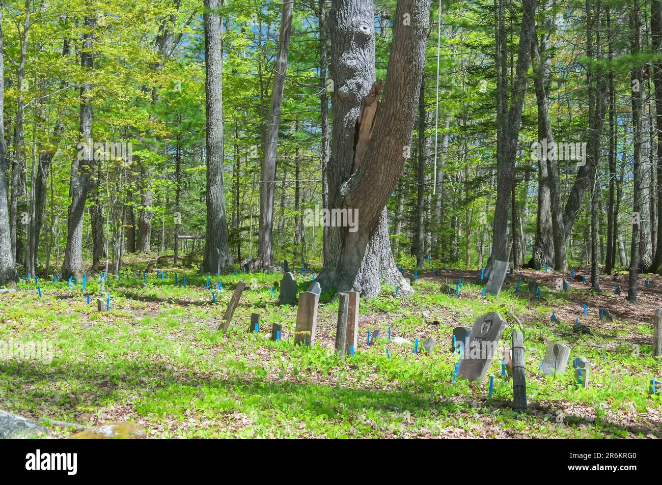 Freeport, Maine. May 27, 2019. Blue markers and tombstones in the