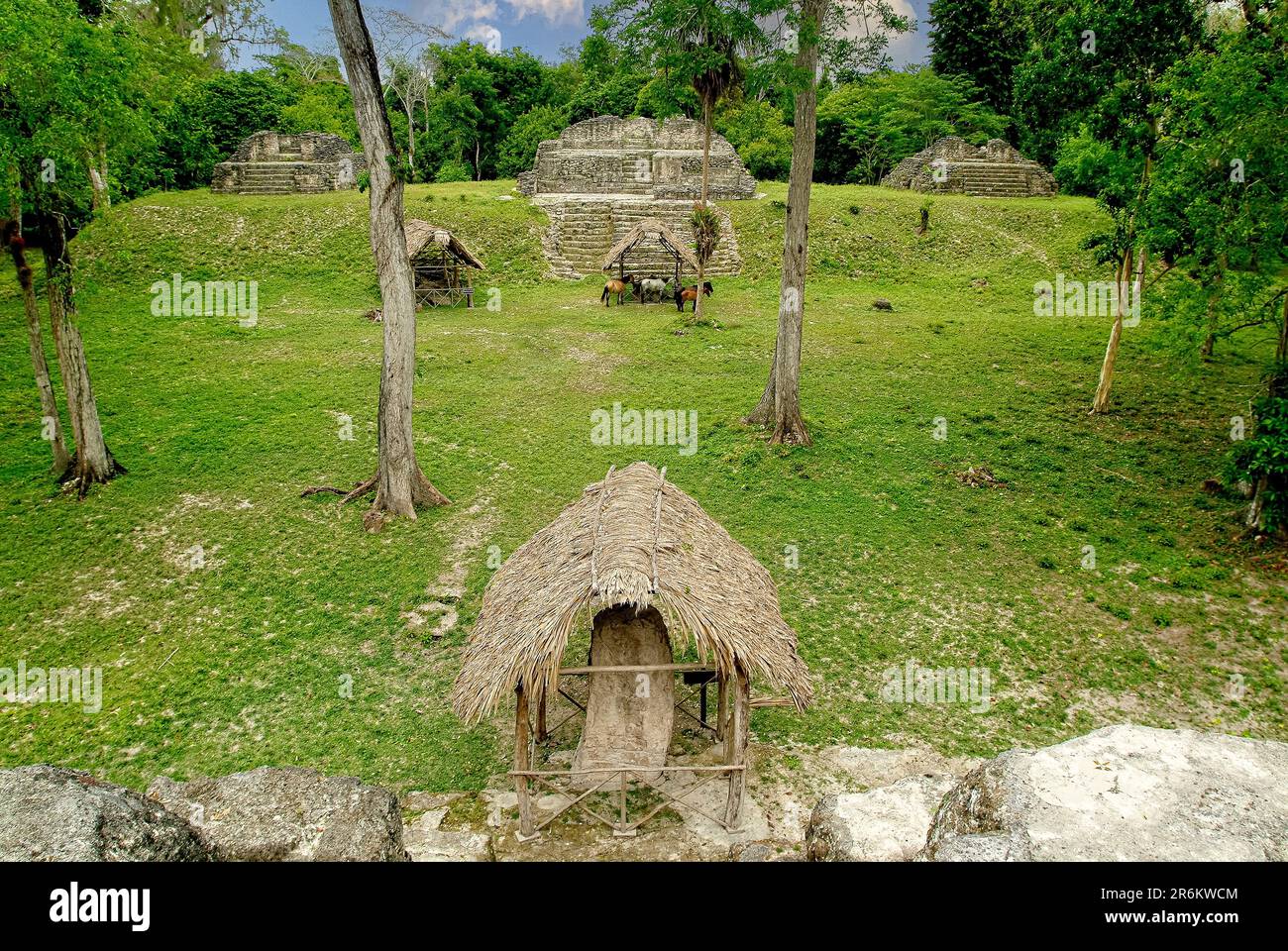 Guatemala Uaxactùn, The temple of the summer solstice on the left, of the spring and autumn equinox in the center and the winter solstice on the right Stock Photo