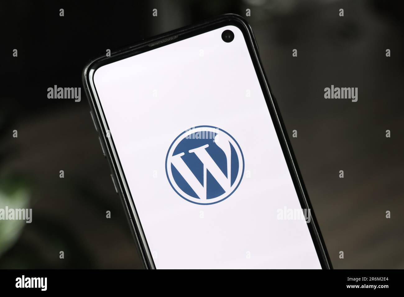A closeup of Wordpress logo on smartphone screen Stock Photo