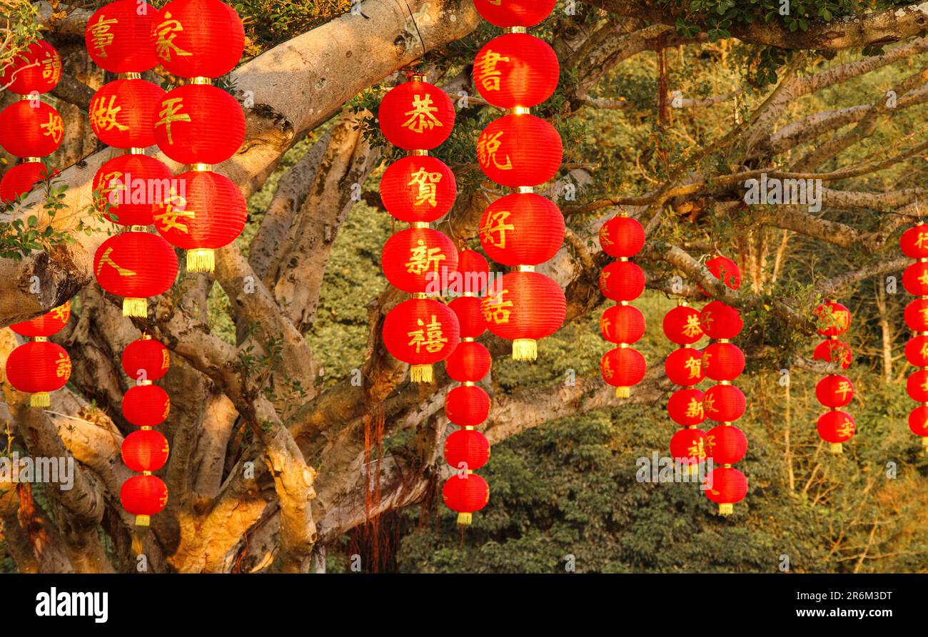 A closeup of traditional Chinese lanterns hanging outdoors Stock Photo -  Alamy