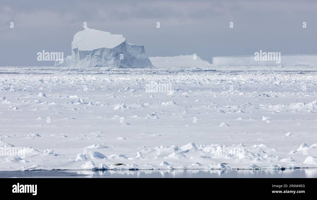 Sea Ice and Tabular Icebergs in Bright Sunshine, Amundsen Sea, Antarctica Stock Photo
