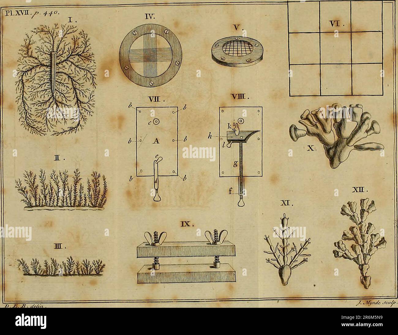 "Employment for the microscope in two parts" (1764 Stock Photo Alamy