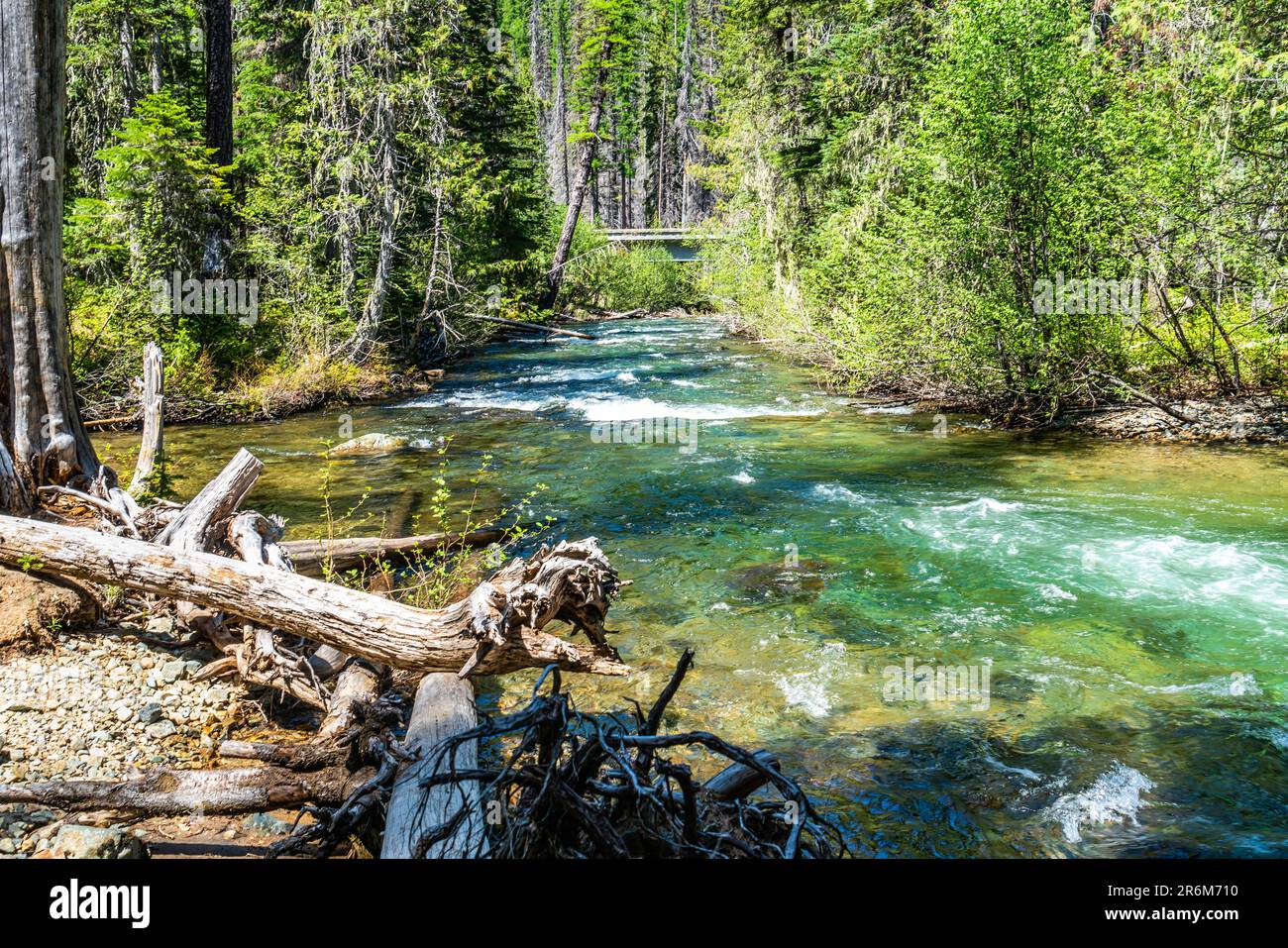A view of a crystal clear creek along the Chinook Pass in