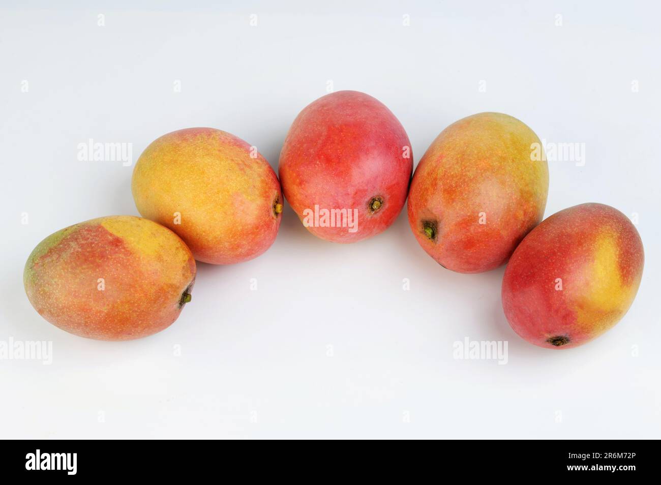 Exotic red mango in oval shape line isolated on white studio background