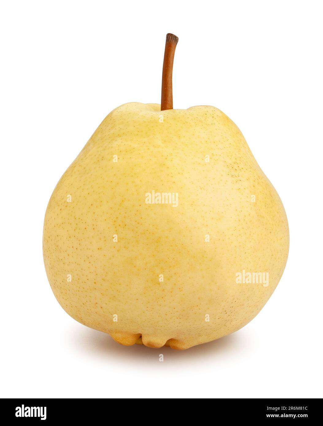 chinese nashi pear path isolated on white Stock Photo