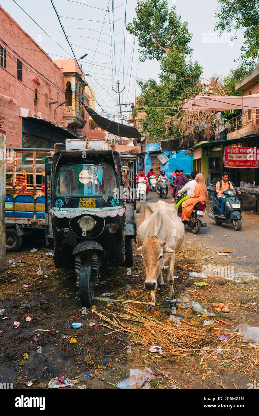 Indian street with auto rickshaw tuk tuk, cow and motorcycles. Jodhpur, Rajasthan, India Stock Photo