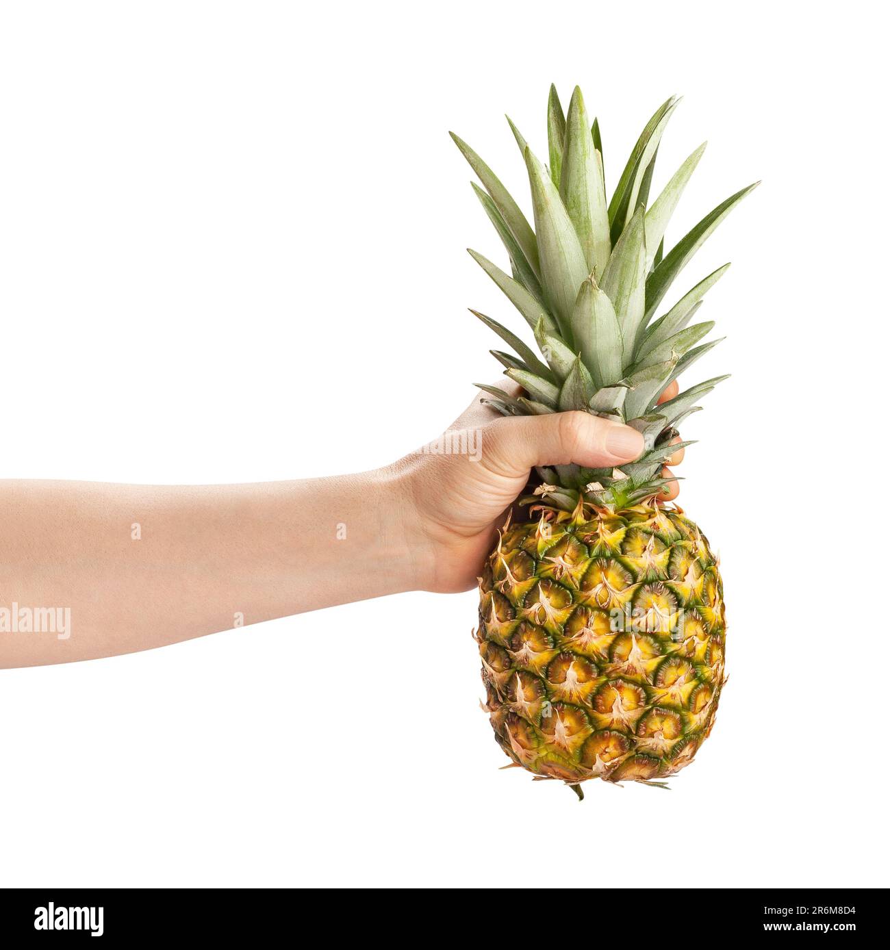 pineapple in hand path isolated on white Stock Photo