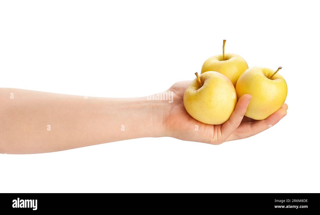 yellow apples in hand path isolated on white Stock Photo