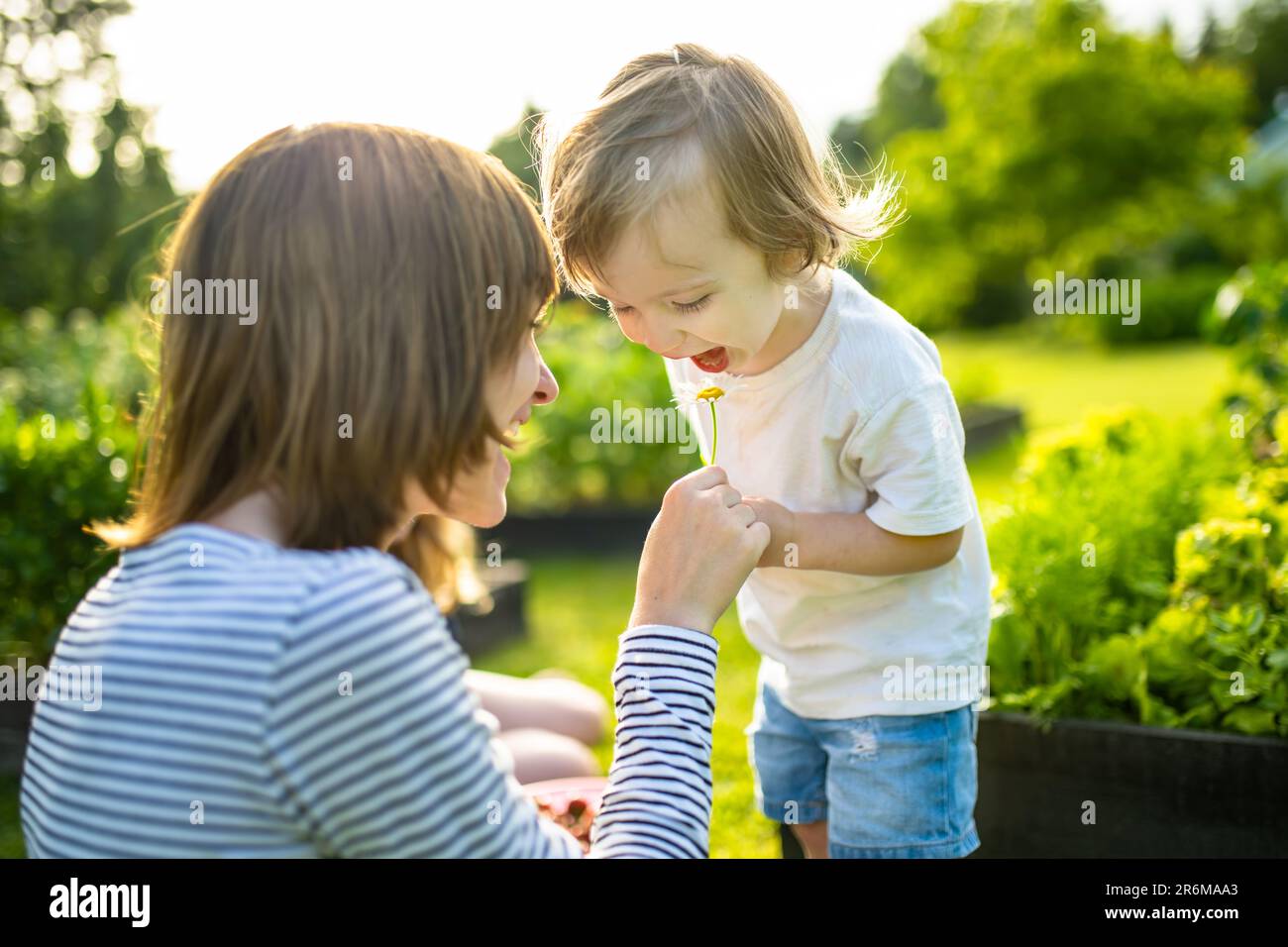 Cute big sister cuddling with her toddler brother. Adorable teenage