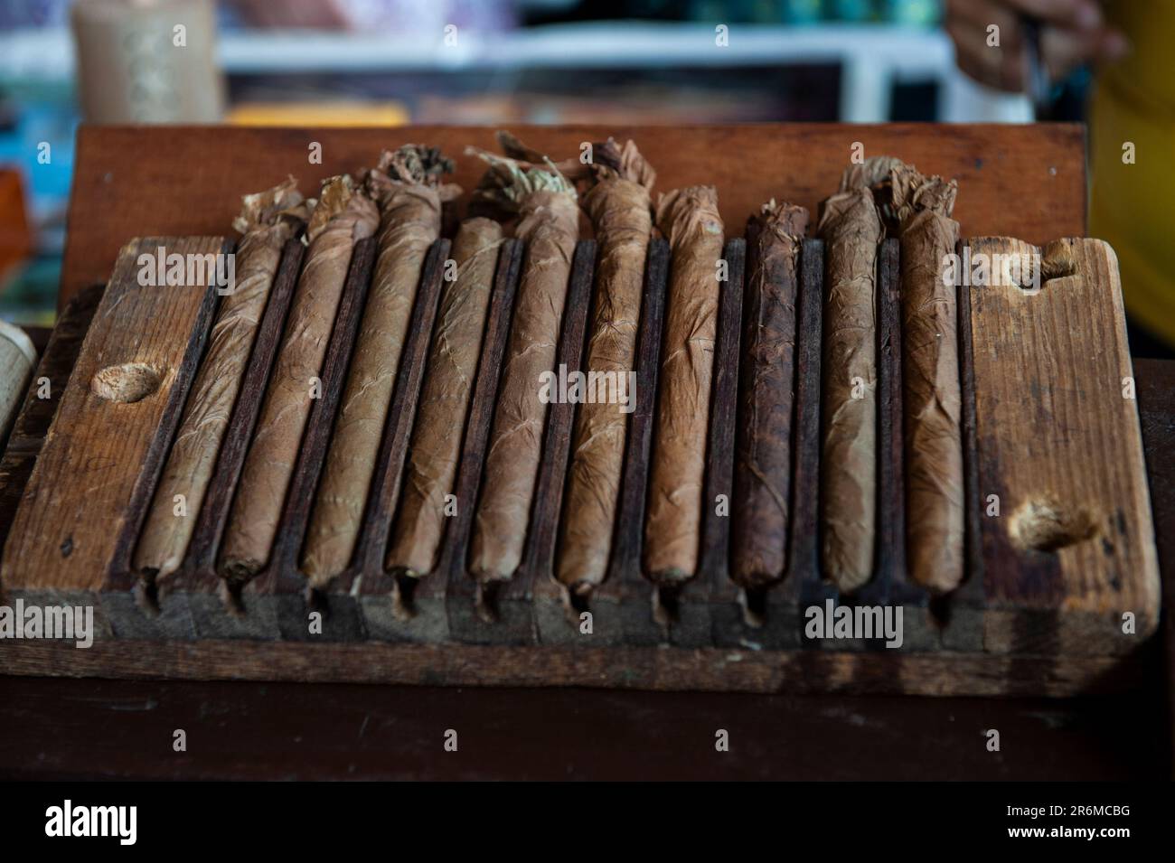 Cuba. Cuban cigars in cigar factory Stock Photo Alamy