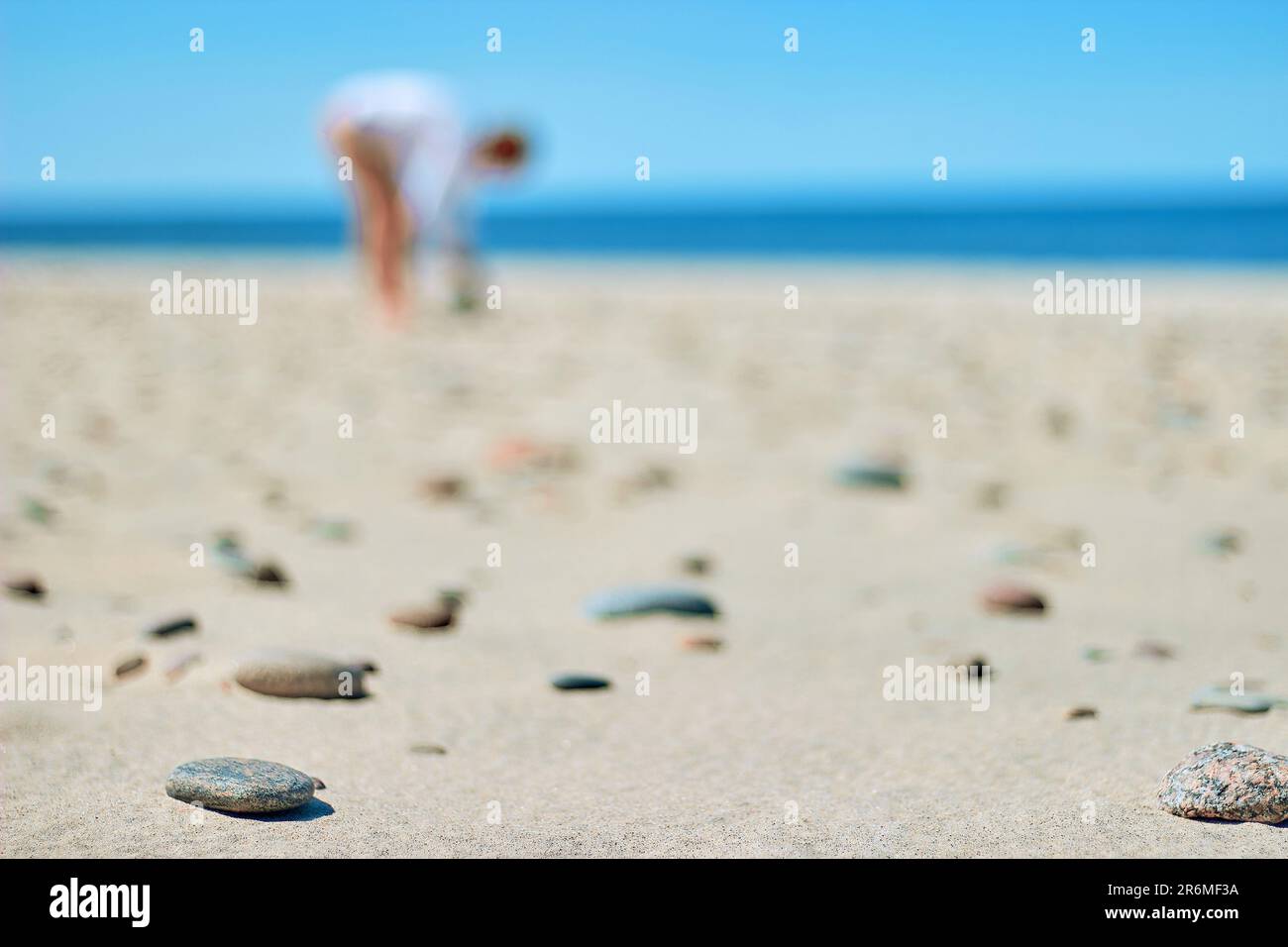 A young woman collects pebbles on the sea beach. Blurred background for