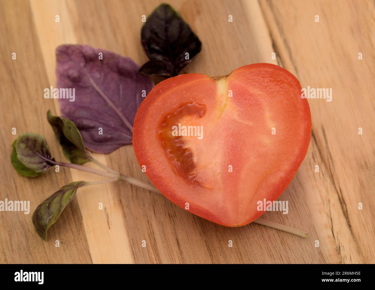 Purple variety of basil, small twigs Stock Photo - Alamy