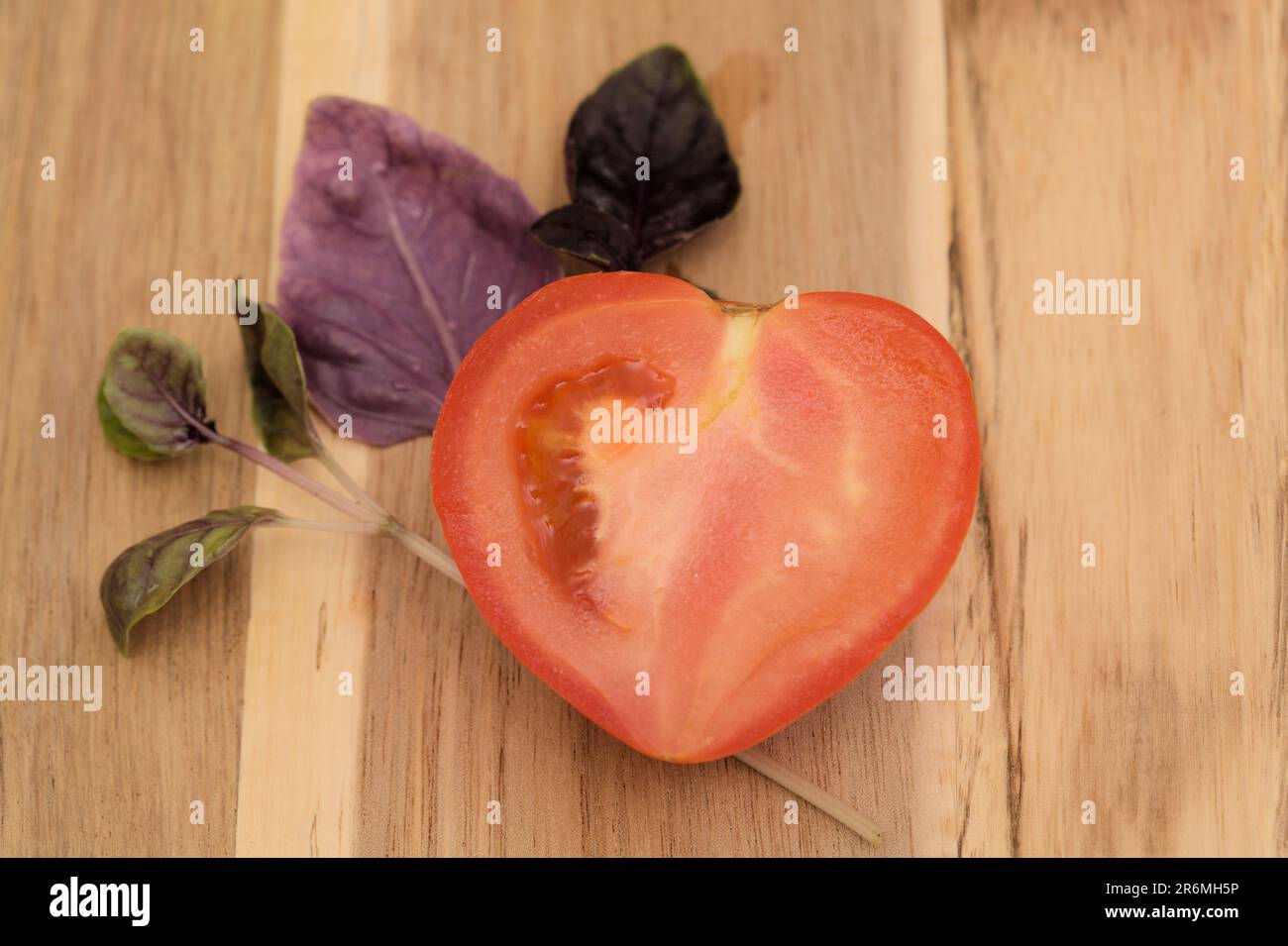 Variety of distinct plant species hi-res stock photography and images ...