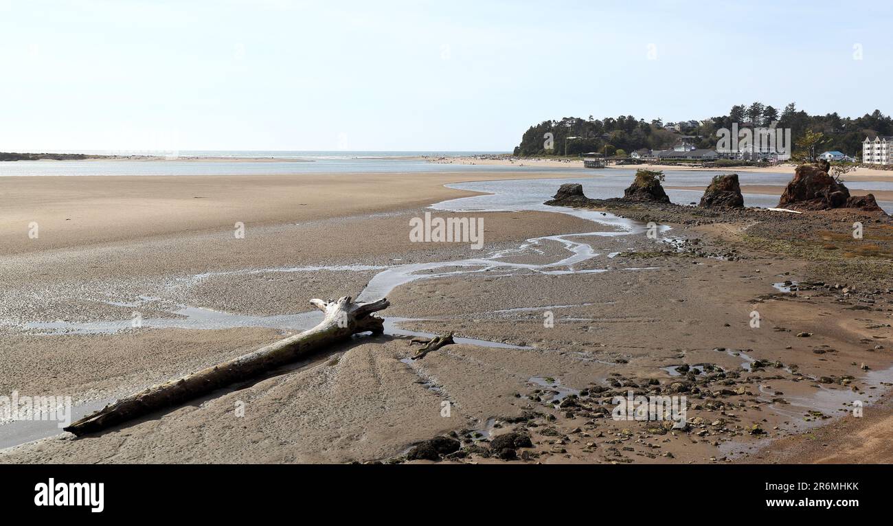 Along the Oregon Coast The beach at Siletz Bay at low tide with