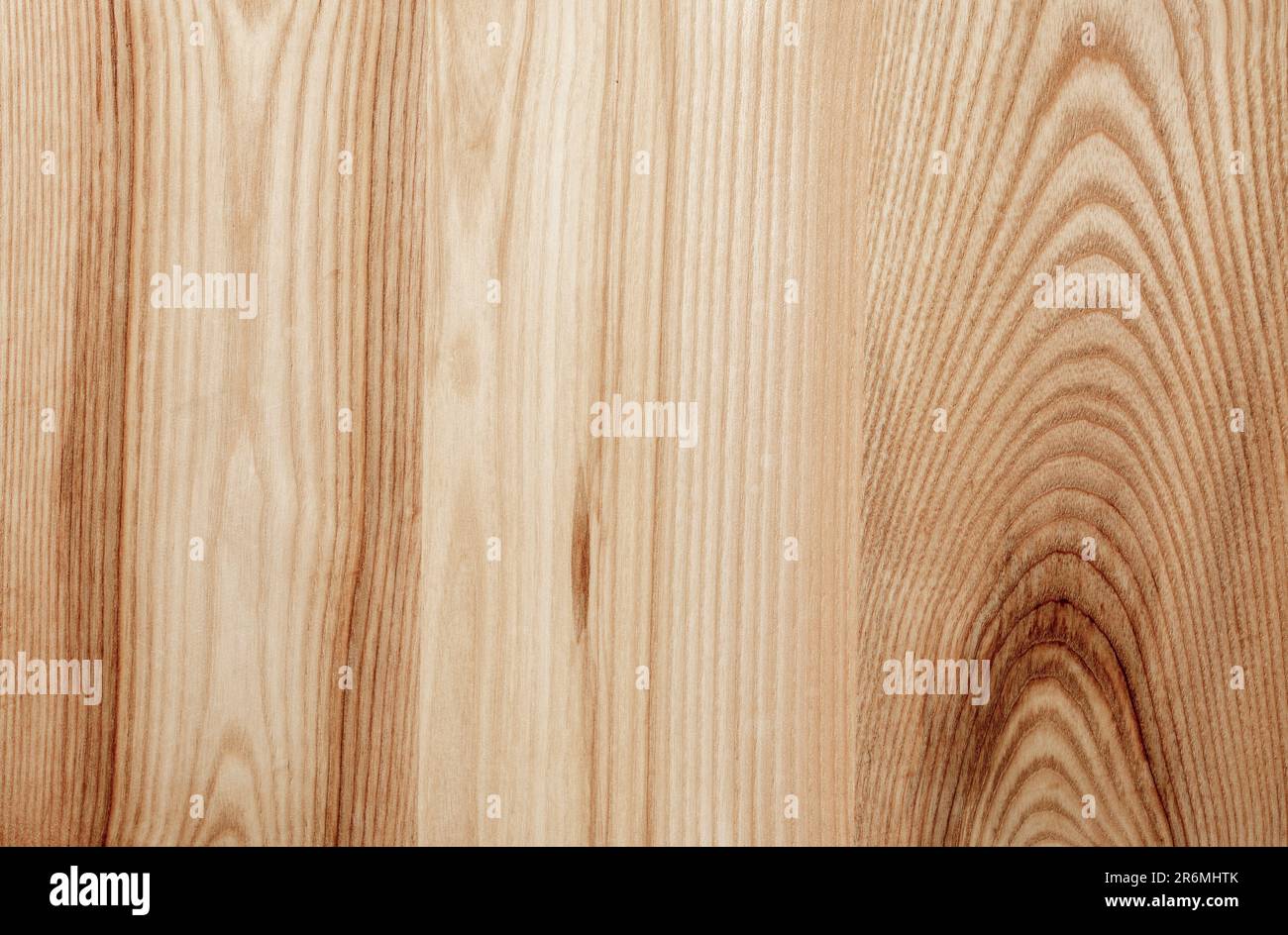 Bright ash board texture with knots and crack.High contrast. Stock Photo