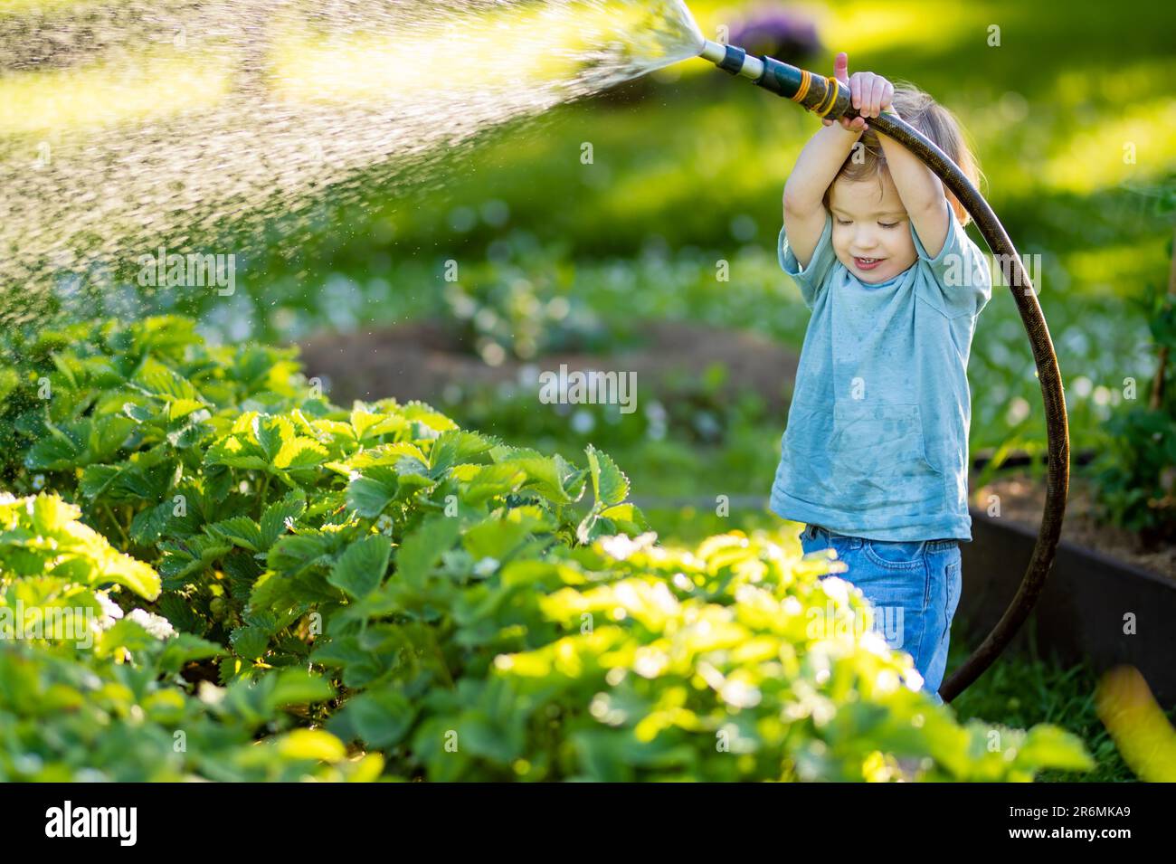 Cute toddler boy watering flower beds in the garden at summer day