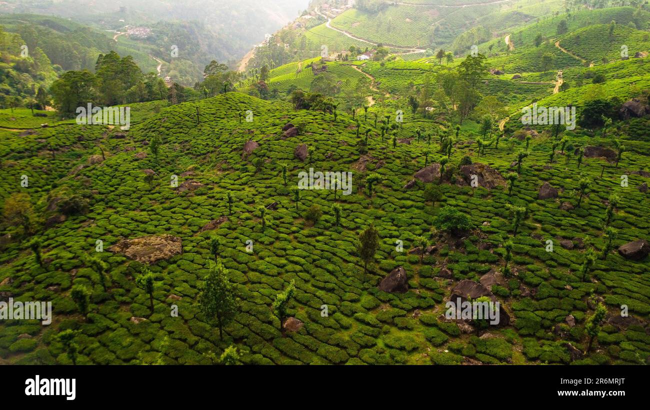Arial shot of the Munnar region in India, featuring lush green hills, winding roads, and the renowned tea plants Stock Photo