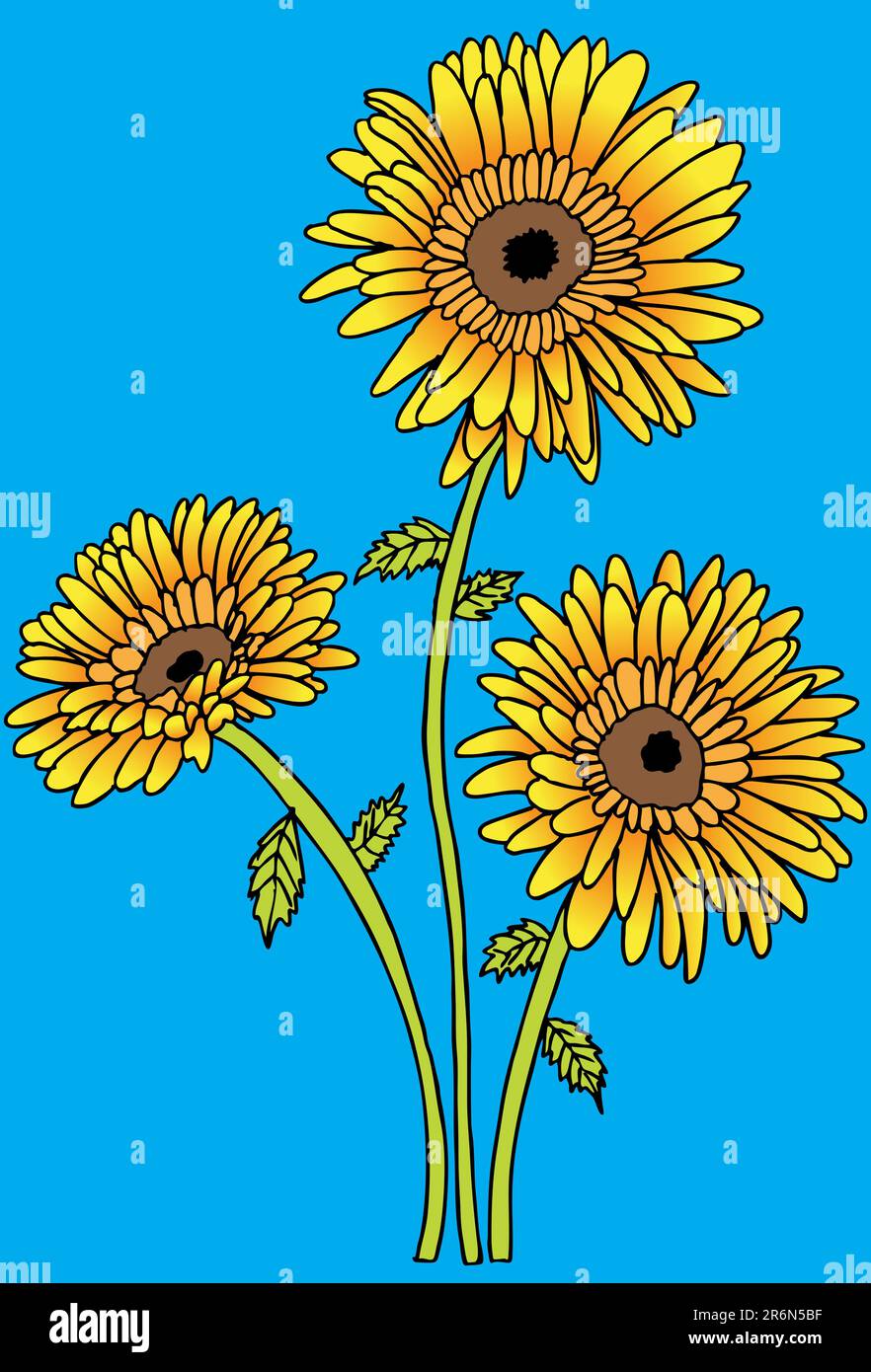 Hand drawn image of sunflowers Stock Vector Image & Art - Alamy